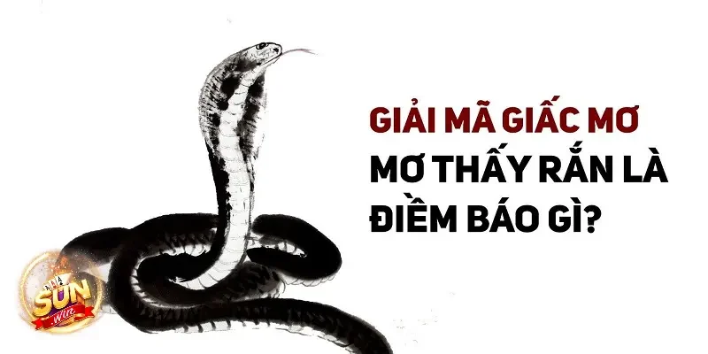 Giải mã nằm mơ thấy rắn đánh con gì theo từng trường hợp cụ thể