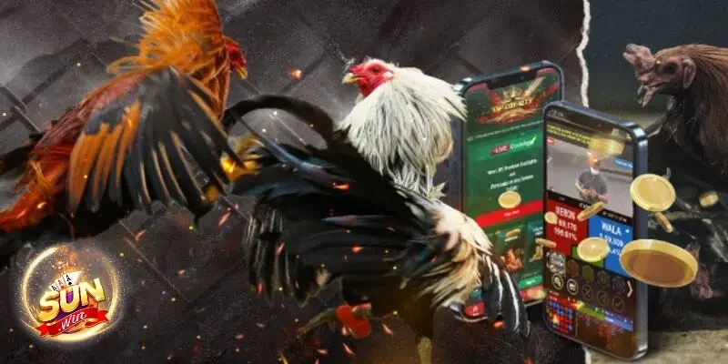 Một số hình thức đá gà Sunwin phổ biến  